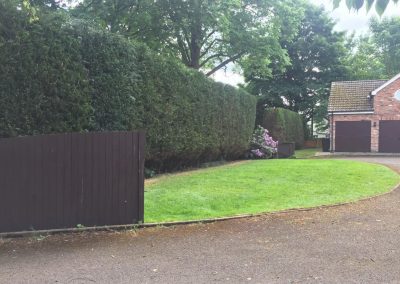 Conifer hedges tidy up Wilmslow 4