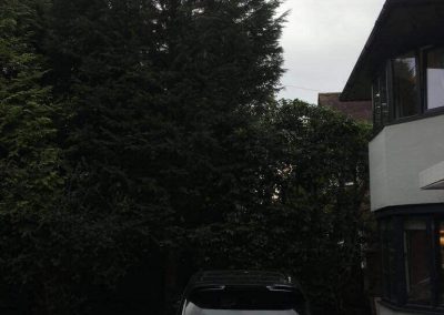 Garden tidy up Altrincham 4