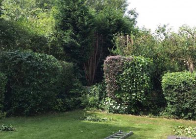 Garden tidy up Altrincham 6