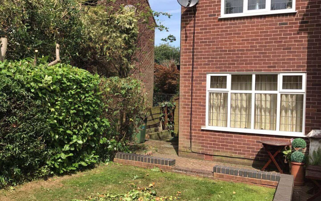 Garden tidy up Altrincham – 22.01.2018.