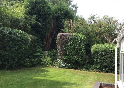 Garden tidy up Altrincham 9