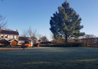 Before Tree Removal 07-02-2018