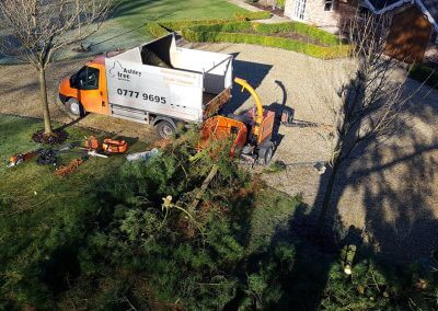 Beginning Tree Removal 07-02-2018
