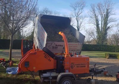 Tree Removal Chipper 07-02-2018