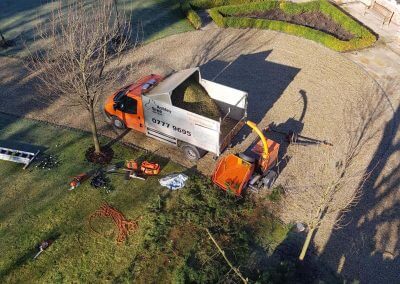 Tree Removal From Above 07-02-2018
