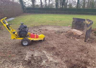 Stump Removal Finishing Tree Removal 08-02-2018