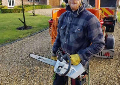 Ashley Tree Services Tree Surgeon