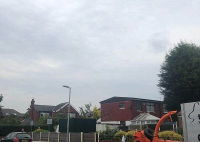 Complete connifer removal stump grinding Stretford Manchester 7