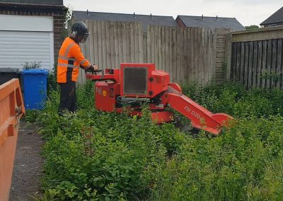Stump grinding Culcheth Warrington 1