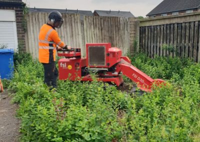 Stump grinding Culcheth Warrington 2