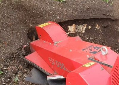 Stump grinding Culcheth Warrington 4