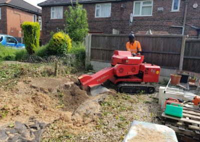 Stump grinding Culcheth Warrington 5