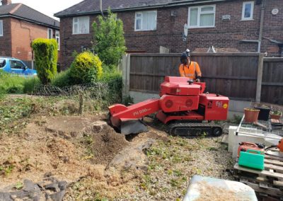 Stump grinding Culcheth Warrington 6
