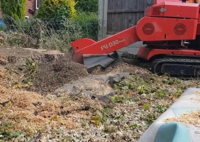 Stump grinding Culcheth Warrington 7