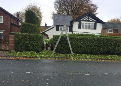 Hedge Cutting Hale 2