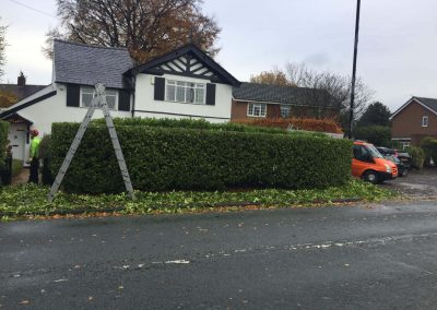 Hedge Cutting Hale 3