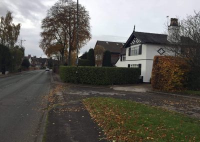 Hedge Cutting Hale 5