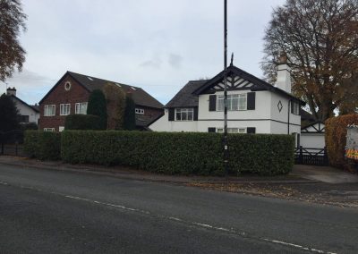 Hedge Cutting Hale 7