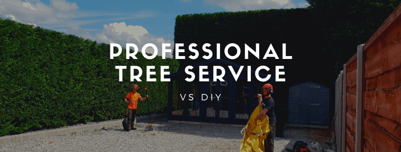 professional tree service vs diy cover