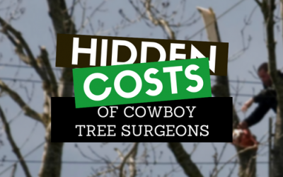 The hidden costs of cowboy tree surgeons: Beware – you could be left with a financial, legal, physical and psychological mess.