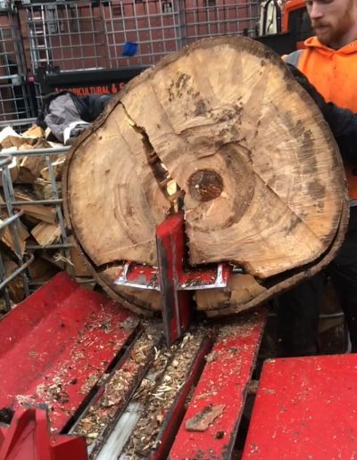 13092018 Firewood logs preparation Salford 4