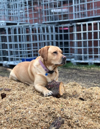 13092018 Firewood logs preparation Salford 5