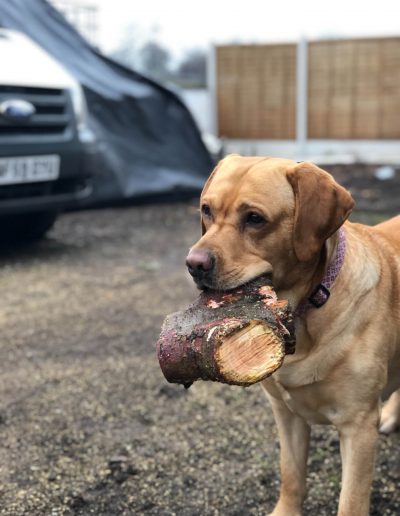 13092018 Firewood logs preparation Salford 6