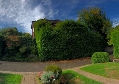 17092018 hale barns hedge trimming 1