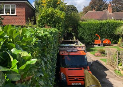 17092018 hale barns hedge trimming 3