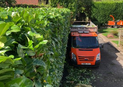 17092018 hale barns hedge trimming 4