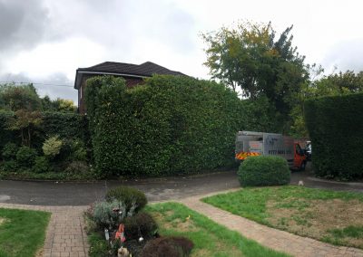 17092018 hale barns hedge trimming 5