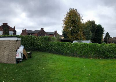 24102018 hedge trimming Swinton Manchester 2
