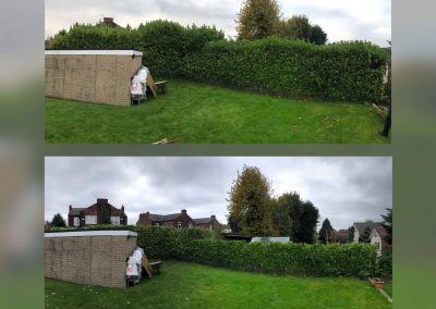 24102018 hedge trimming Swinton Manchester 3