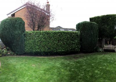 Hedge trimming Swinton Manchester – 24.10.2018.
