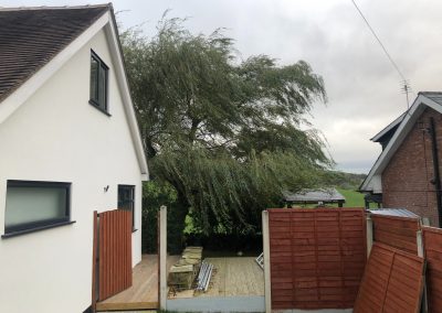 03112018 willow tree reduction Oldham Manchester 2