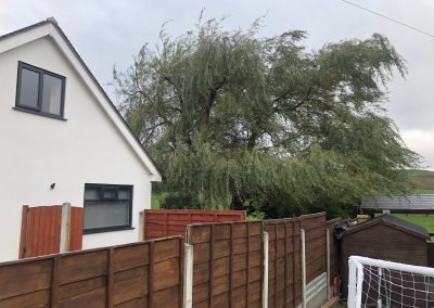 03112018 willow tree reduction Oldham Manchester 3