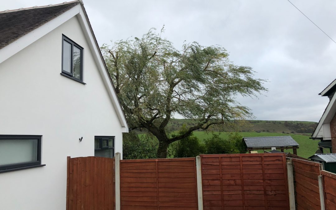 Willow tree crown reduction Oldham, Manchester – 03.11.2018.