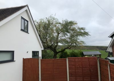 Willow tree crown reduction Oldham, Manchester – 03.11.2018.