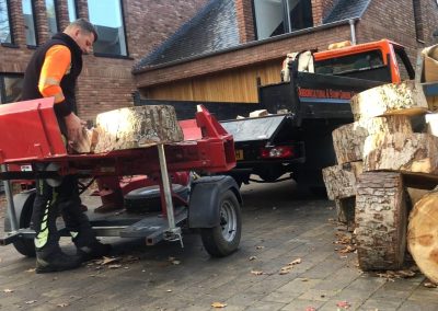 12112018 wood splitting 1