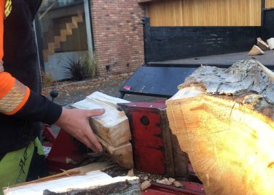 Sycamore felling and wood splitting Manchester – 12.11.2018.