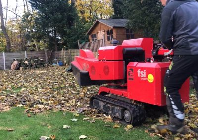 14112018 stump grinding Chorlton Manchester 2