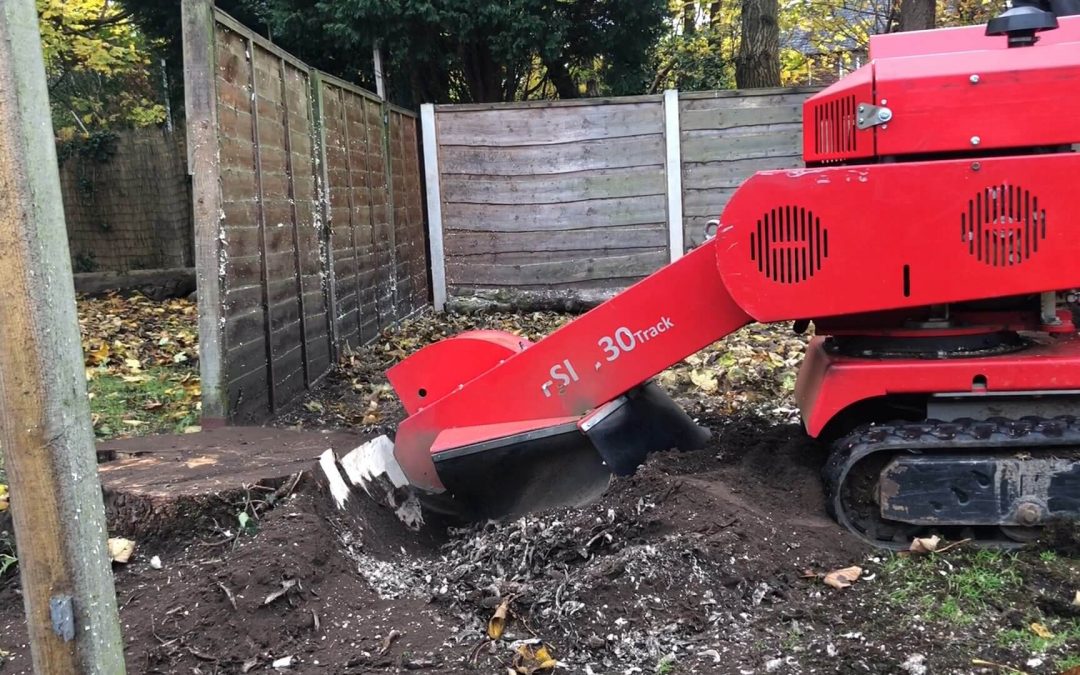 Stump grinding Chorlton, Manchester – 14.11.2018.