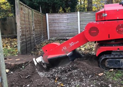 Stump grinding Chorlton, Manchester – 14.11.2018.