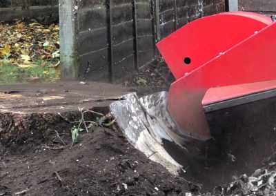 14112018 stump grinding Chorlton Manchester 4