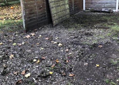 14112018 stump grinding Chorlton Manchester 8