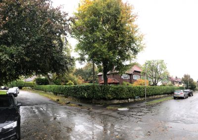 Hedge trimming and crown reducing Knutsford, Cheshire – 11.10.2018.