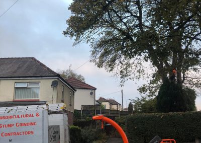 Major crown lift Prestwitch 2