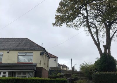 Major crown lift Prestwitch 4