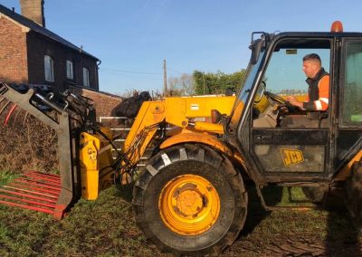 17122018 pine tree felling Ashley Manchester 5