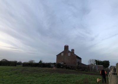 17122018 pine tree felling Ashley Manchester 9